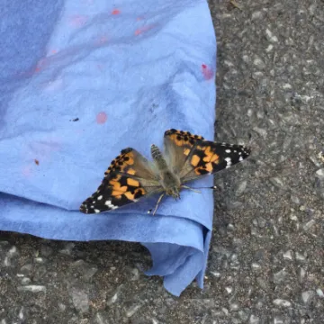 A9DD9A6E-CF51-4E1F-B988-AE32CF208B95