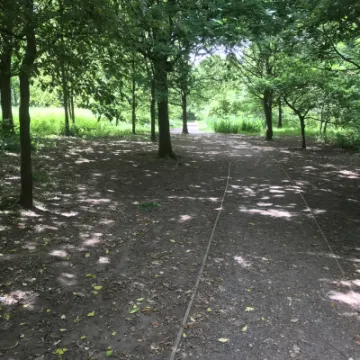 Tarvin Woodlands, Broomheath end