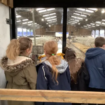 C681F41E-843F-4ECD-A165-79BB3F301819