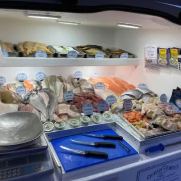 Ocean Wave Fish