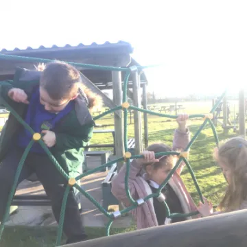 DAB77C31-F02D-4DA4-860F-1DDBE005D596