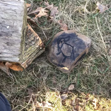 D302FF3C-00E9-40F2-B3A7-E849B59F8274