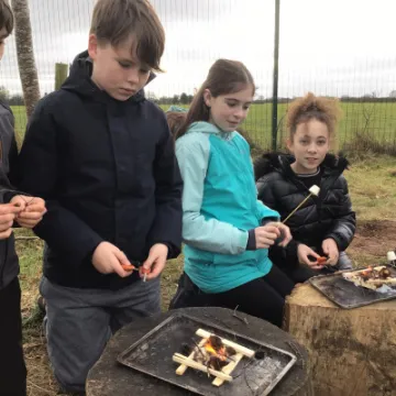 1654C252-12C7-4950-8F3C-D11ABD45C2B8