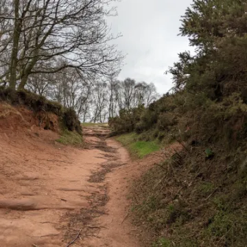 PXL_20220217_110811478