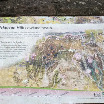 PXL_20220217_111105918-MP