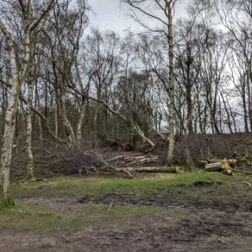 PXL_20220217_112344784