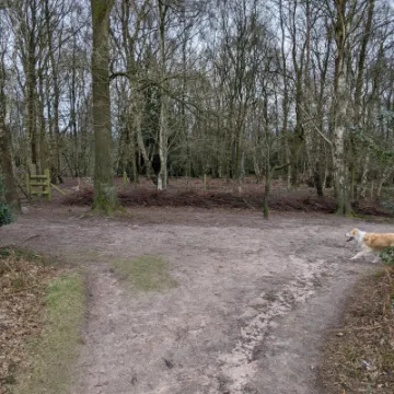 PXL_20220217_114215817-MP