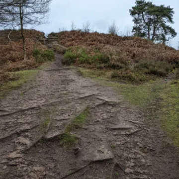 PXL_20220215_120027686