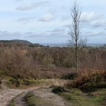 PXL_20220211_121530883-MP