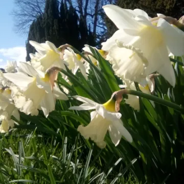 IMG_20220402_143415_1