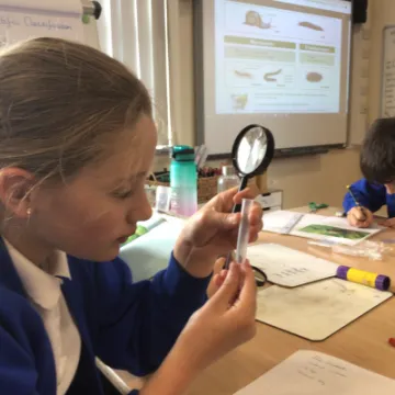 838DA177-618F-49AC-9BDB-050F79D78BCA