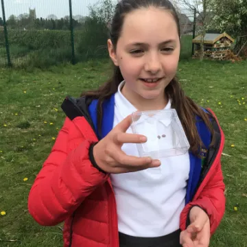 87EE18DE-9F56-4F5D-9FC4-2779E2502318