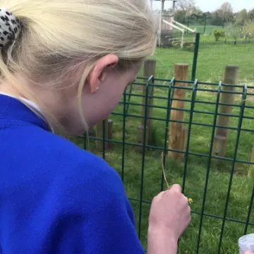 203DC4D0-E3E1-40B8-BBC0-A85BB78ED029