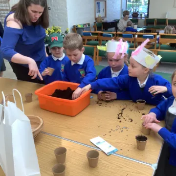 9DCECC77-CB77-4A10-8062-7C9CC98AAA56