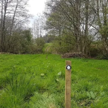 PermFtpthRHayesWhirlRdpic_1