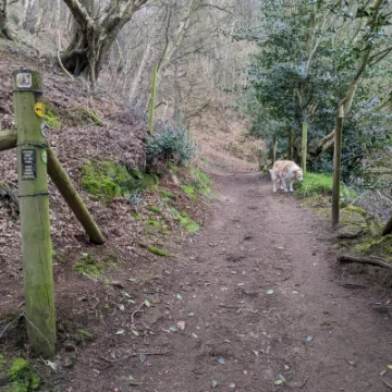 PXL_20220321_111139193-MP