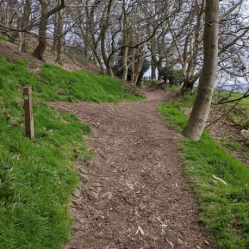 PXL_20220321_112744476