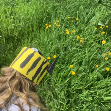 D5DD3B79-A3DD-4BB1-953E-EDFBB18FB2BD