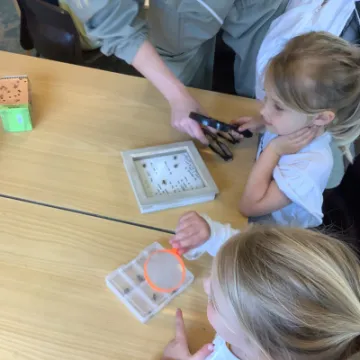 FDE880A4-2561-4F03-9400-F79F2133A881