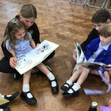 6C10576F-0E2A-4E4C-A2FE-86D425F417DE