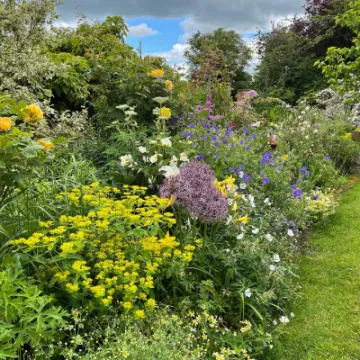 CAF6789C-6645-4579-8164-9DA45A527860