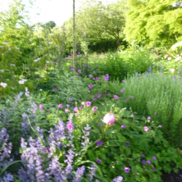 Flower Club JUne 2022 P1040152