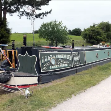 Screen Shot 2022-06-19 at 11-31-49