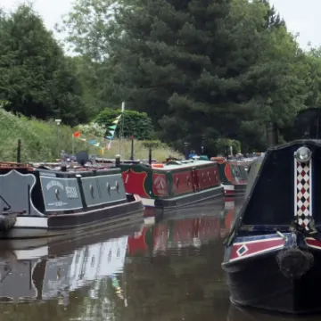 Screen Shot 2022-06-19 at 11-36-32