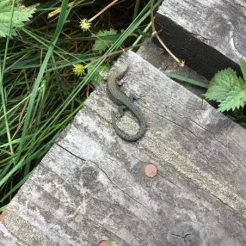 49AB3995-F954-435B-99A2-68B9D79227CF