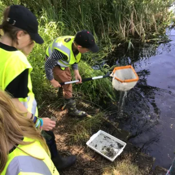 460A1F24-C9D5-4B65-B69B-C9D0006FFA5F