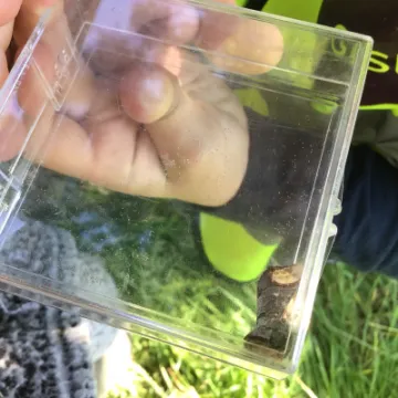 BDA316D3-3BF4-41DE-B167-A70964C014EE