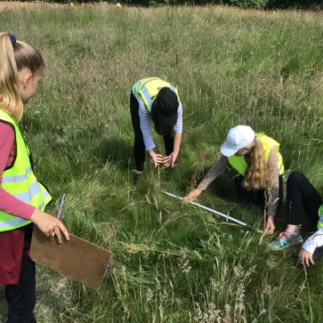 8779EA0F-B748-42C6-B2F6-EB8C3AB3B65C