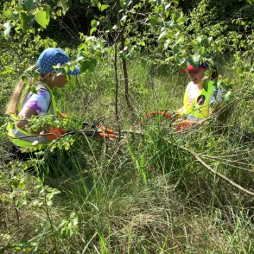 A08E545C-5EE8-477D-AEB3-C291E69229F8