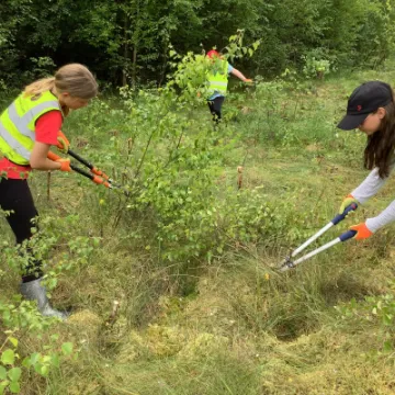 0F8F0EEB-3B6E-4932-89F6-D2937BCBFF46