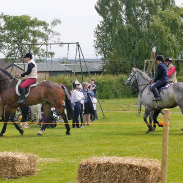 Horses 4