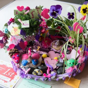 54DDE592-87F3-4A5C-9DAF-B02846DB15BE