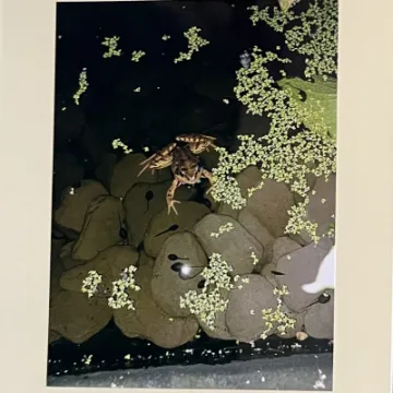 27CB5292-D5E2-4B22-B76A-E5C7E361EA26