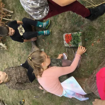 003908BC-D128-45A8-B9BD-896DC73B1D8D