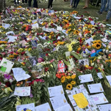 65A11B39-91C3-4E33-9B98-27E39FDFEA70