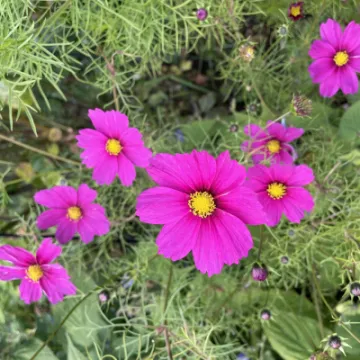 7D5D99CD-CE4D-4020-AFCD-428F67DB0C75