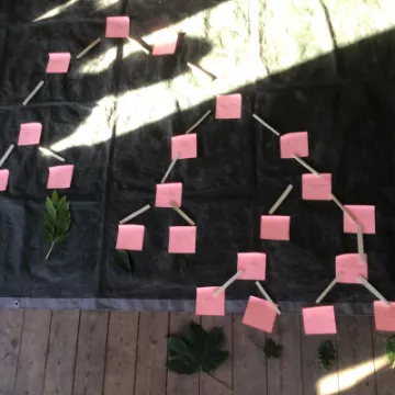 16F79FBC-2B90-4228-834E-5A5A669D1B65