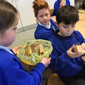 E209424D-988E-48C7-B8C5-AD298037350F