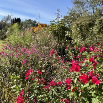 EF014EE0-F3DF-407F-8707-72E5BA3AB80F