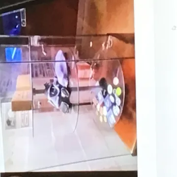 16890217-B43B-4533-BE33-2C8A028B119C