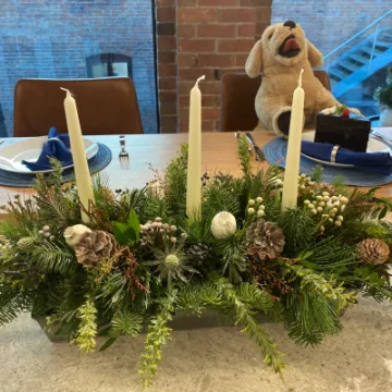 Ditchen Design Experts