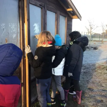 DAF578C8-4460-44C4-A293-A9A500338571