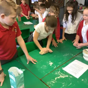 0B1CA7F8-8307-4B7B-A060-690A2E4D0959