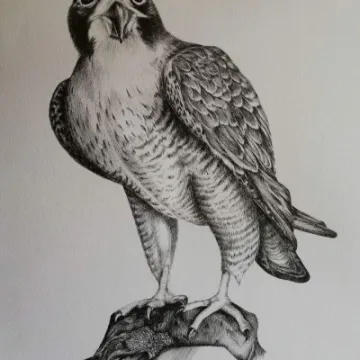 Screenshot_20230118_202429_facebook (1)