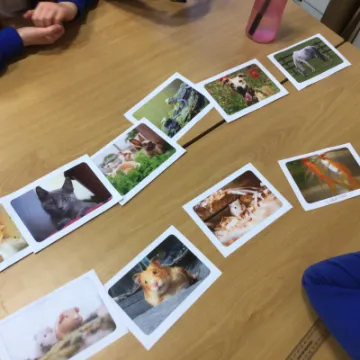 50F251B3-54C1-47DA-AAA7-509E71DCDC66