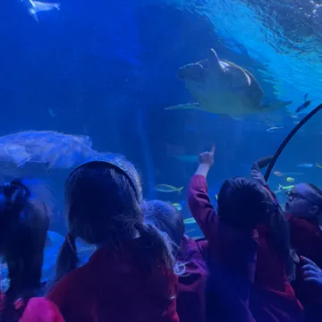 Screenshot 2023-01-30 at 15-17-21